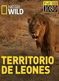 Territorio De Leones Temporada 1 [1080p]
